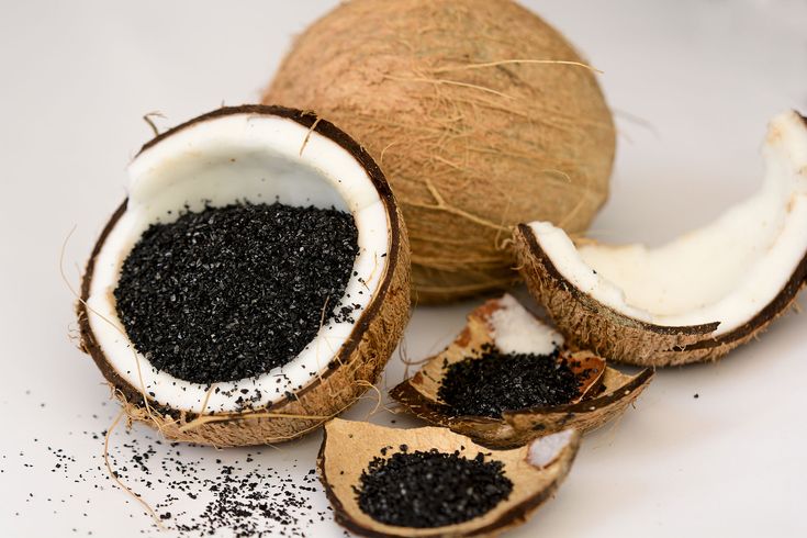 Coconut Shell Charcoal (Powder)